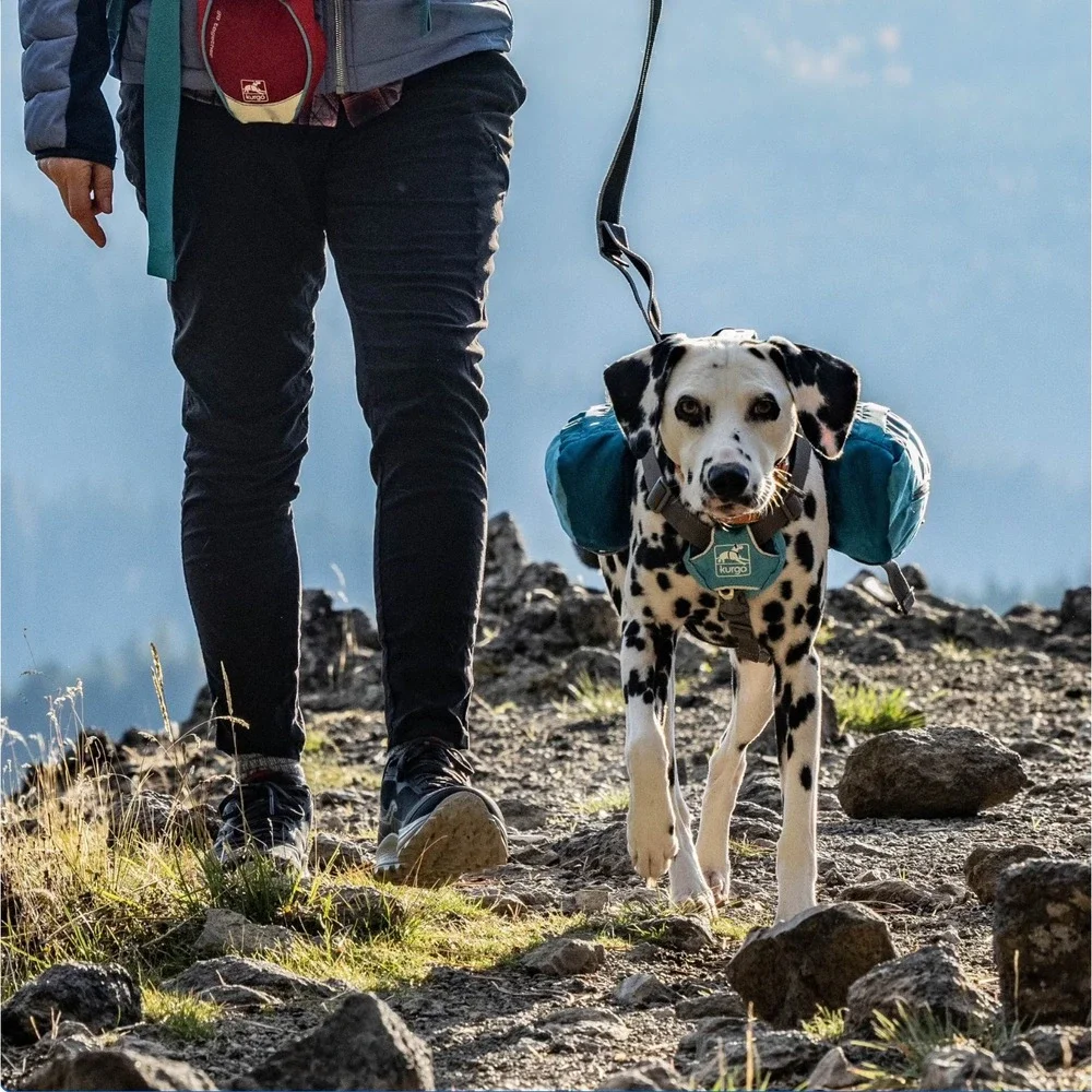 Kurgo Blue‎ Baxter Dog Backpack Saddlebag Pack Adjustable Saddlebag Hiking